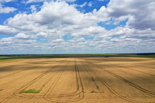 Holde Agri Invest vrea să investească anul acesta în două startup-uri agrotech