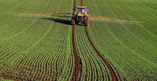 Romanian Farming Company Raises EUR 5 M From Local Investors