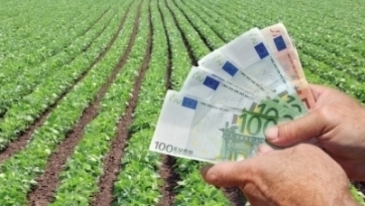 Holde Agri Invest, holdingul care a reunit antreprenori redutabili pentru a deveni unul dintre principalii jucători din agribusiness, pregătește listarea și noi achiziții