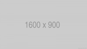 This is alt attribute