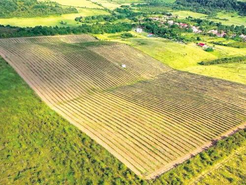 Holde Agri Invest, the first agricultural company on the Romanian Stock Exchange, attracts 10 million lei from investors. Next is the listing in 2020 under the HAI symbol