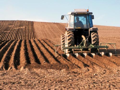 Cum vor să construiască 25 de antreprenori una dintre cele mai eficiente afaceri din agricultura românească