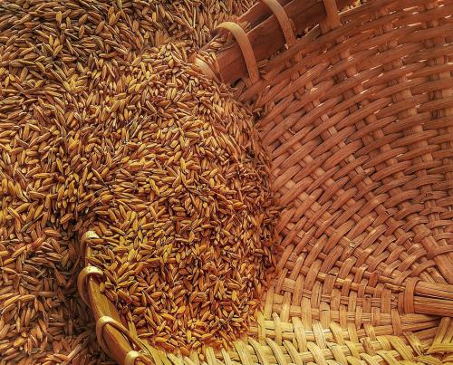 În fiecare an în care sectorul agricol are performanțe bune, fermierii ar trebuie să pună deoparte rezerve financiare suplimentare pentru a se pregăti pentru un an mai slab