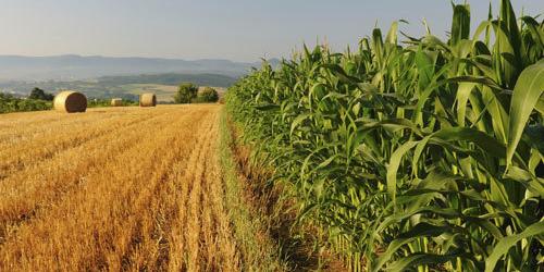 Holde Agri Invest To Launch Second Private Placement To Raise RON 12 M For Investments In Irrigation And Storage