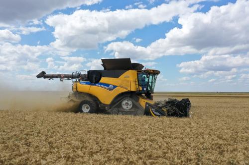 Holde Agri Invest a raportat o creștere a veniturilor cu 157% în S1 și o îmbunătățire a rezultatului net