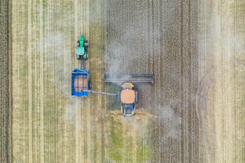 Holde Agri Invest marchează o creștere semnificativă a producției și o îmbunătățire a rezultatului net în primul semestru din 2025